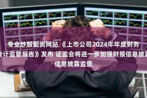 专业炒股配资网站 《上市公司2024年年度财务报告会计监管报告》发布 证监会将进一步加强财报信息披露监管