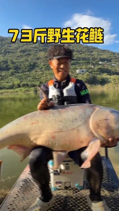 可靠的股票配资平台 “中国钓王”邓刚钓获73斤野生花鲢，“当时感觉好重”，此前曾钓700斤金枪鱼被疑造假